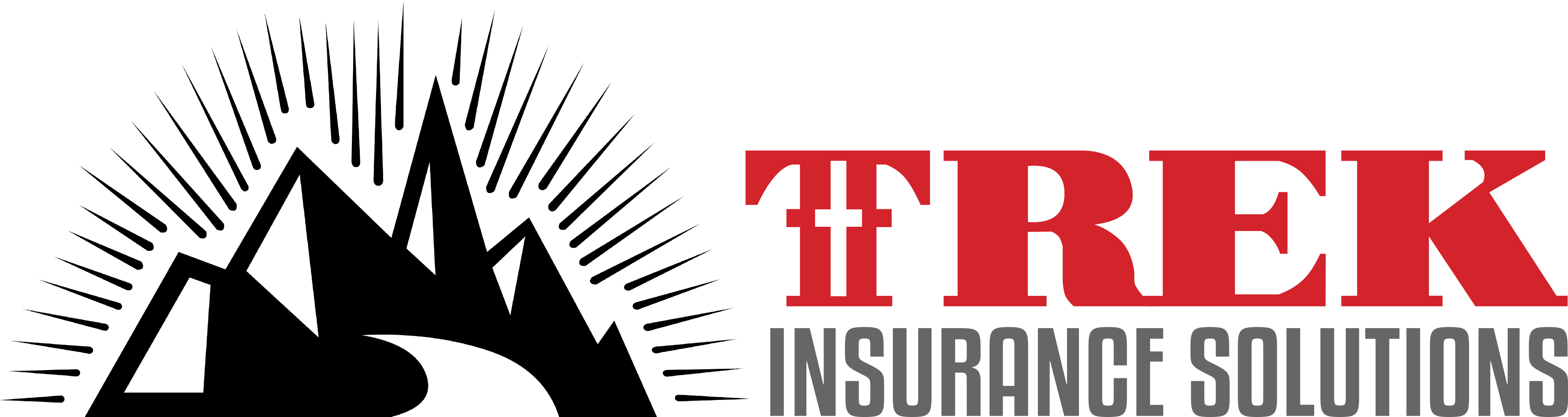 Trek Insurance Solutions